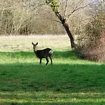 Bed and breakfast Presbytere D'arpentian