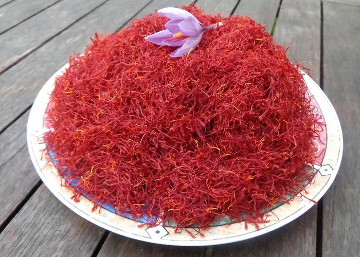 Presbytere D'arpentian Jegun