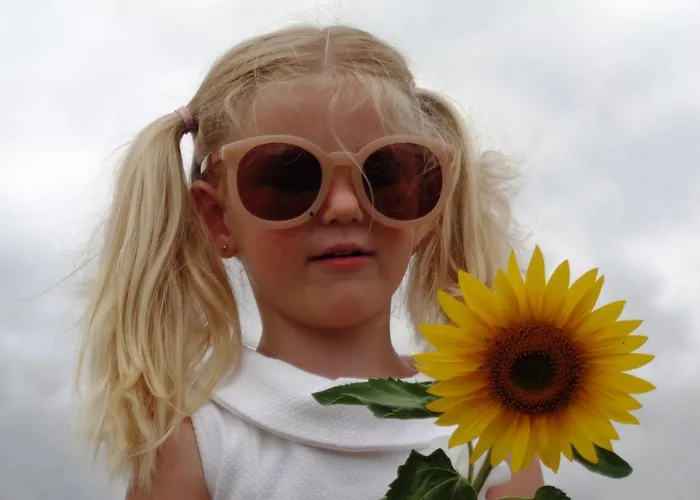 Presbytere D'arpentian 3*