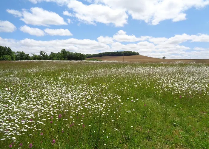 Presbytere D'arpentian Jegun