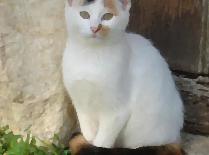 Presbytere D'arpentian