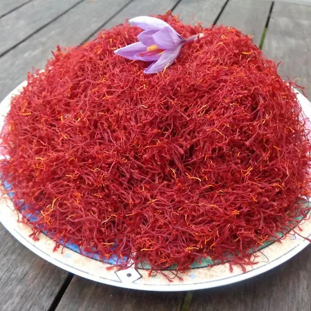 Presbytere D'arpentian Jégun