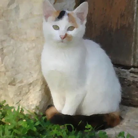 Presbytere D'arpentian