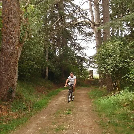 Presbytere D'arpentian Jégun