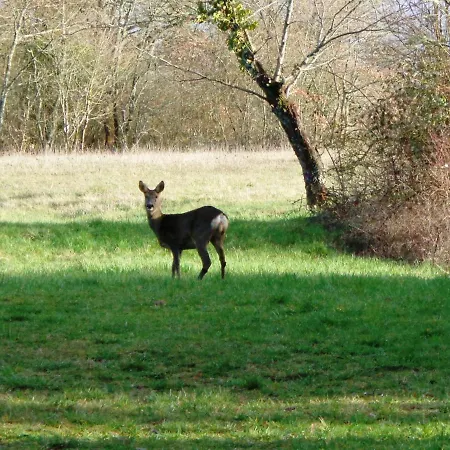 Oda ve Kahvaltı Presbytere D'arpentian