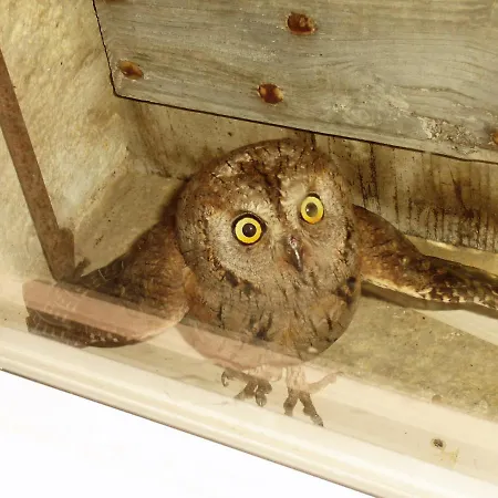 Presbytere D'arpentian 3*