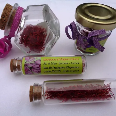 Presbytere D'arpentian Jegun