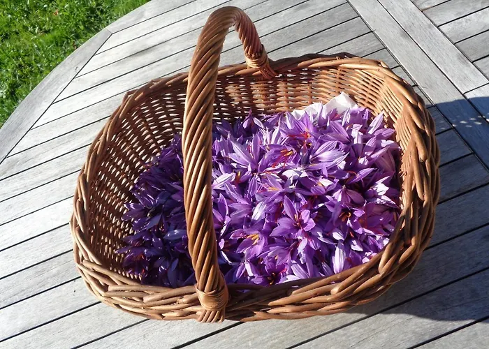 Couette-café Presbytere D'arpentian Jegun