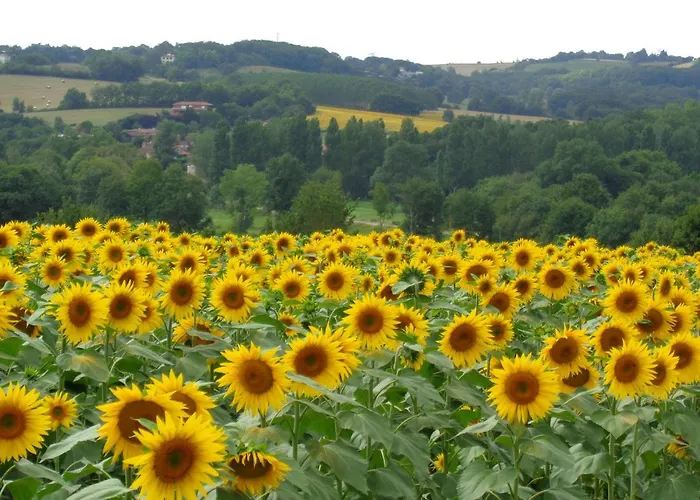 Presbytere D'arpentian Couette-café
