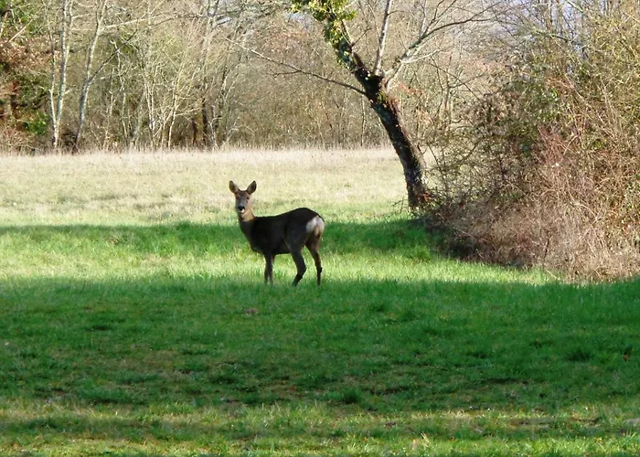 Couette-café Presbytere D'arpentian